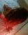 Ataşehir Ateşli Escort Partner Alev - Image 3