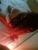 Ataşehir Ateşli Escort Partner Alev - Image 1