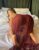 Anadolu Yakası Seksi Escort Partner Ebru - Image 1